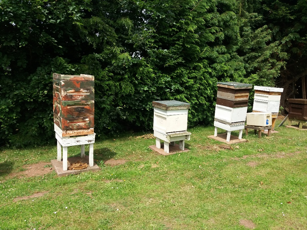 colourful hives
